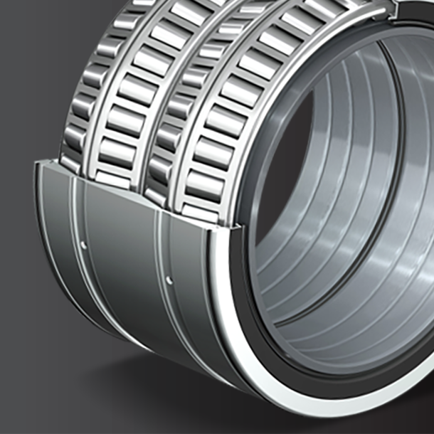 NSK-AISTech-TRB-Bearings